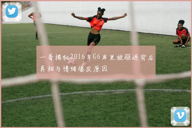 一哥揭秘2016年G6库里被驱逐背后真相与情绪爆发原因