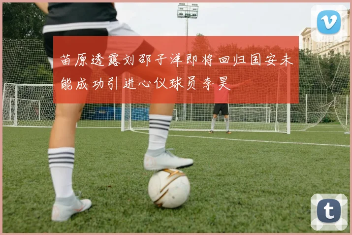 苗原透露刘邵子洋即将回归国安未能成功引进心仪球员李昊