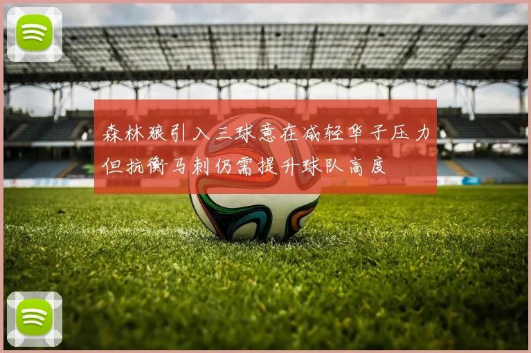 森林狼引入三球意在减轻华子压力但抗衡马刺仍需提升球队高度
