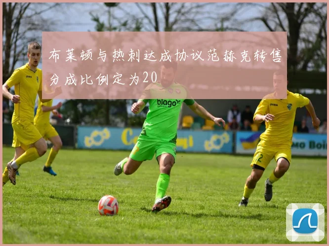 布莱顿与热刺达成协议范赫克转售分成比例定为20